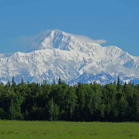 Mckinley View B&B Trapper Creek Екстер'єр фото