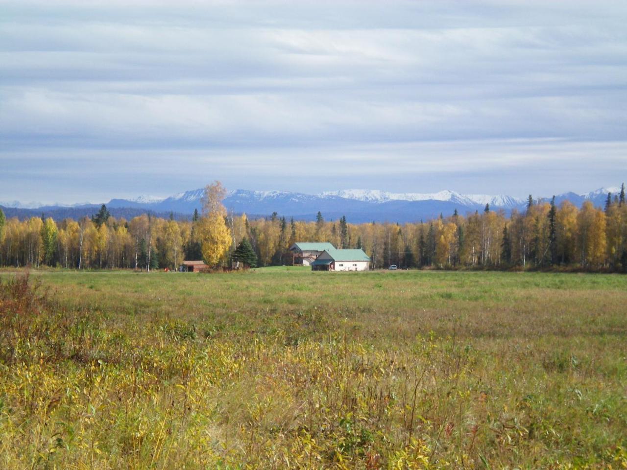 Mckinley View B&B Trapper Creek Екстер'єр фото